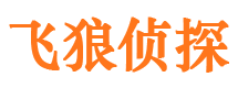 河西外遇调查取证